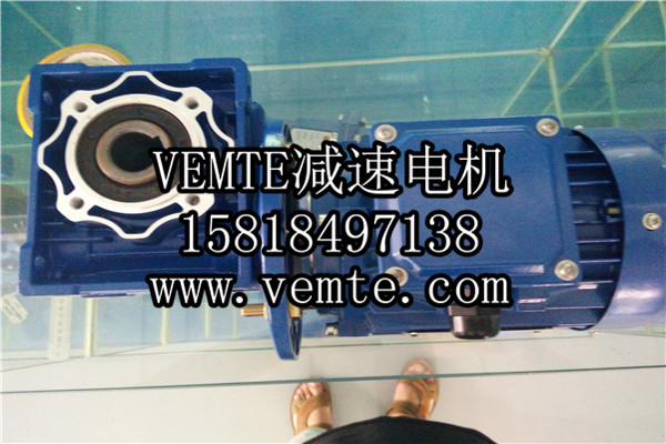 蝸輪減速機，渦輪減速機,RV減速電機 (2)